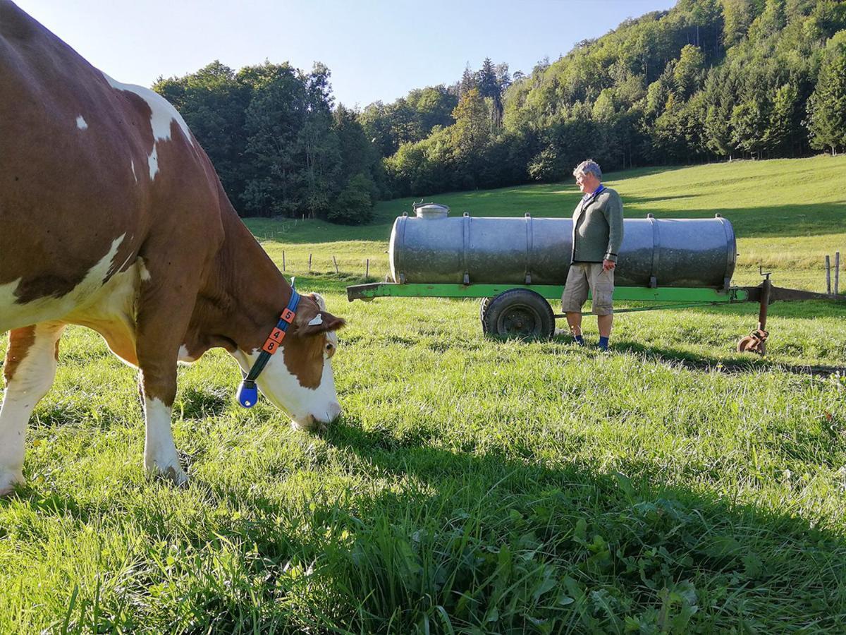 Apartmán Almbauernhof Ruhpolding Exteriér fotografie