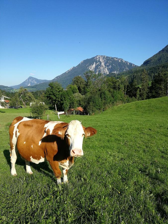 Apartmán Almbauernhof Ruhpolding Exteriér fotografie